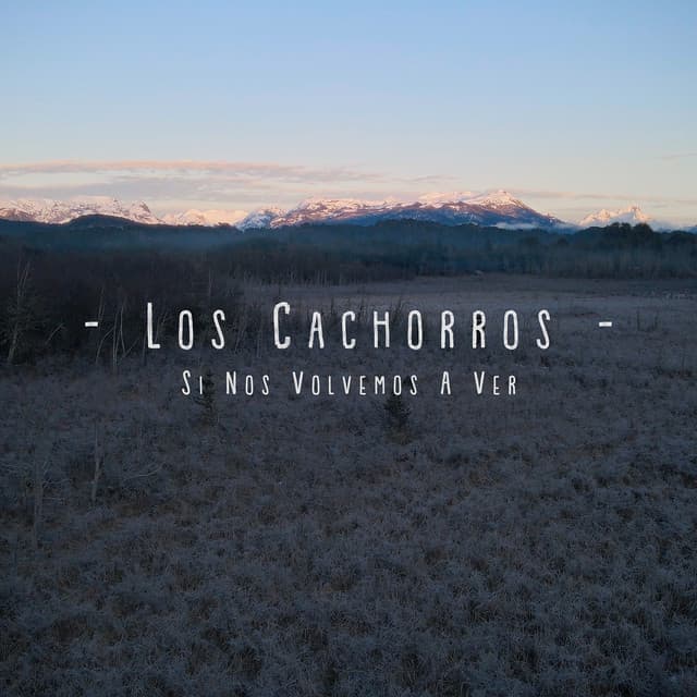 Si Nos Volvemos a Ver