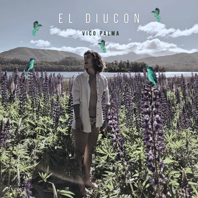 El Diucón
